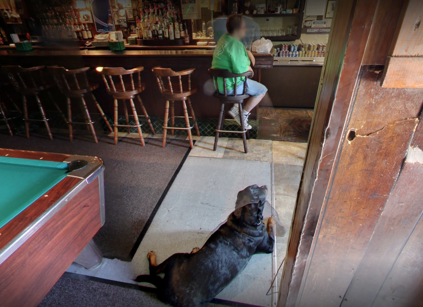 Dog lying on the floor near the bar.